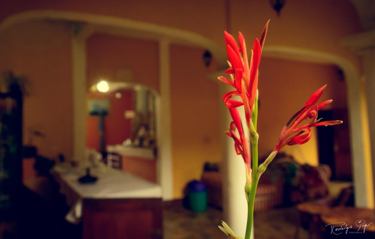 Hotel Villa Santa Elena Chahal Extérieur photo